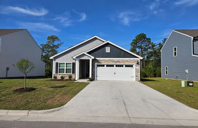 Brand new 3 bedroom 2 bath home in the Southwater Village community - Hampstead photos photos