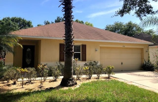 11136 Rising Mist Blvd - 11136 Rising Mist Boulevard, Riverview, FL 33578