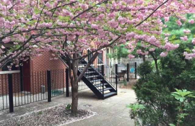 153 Stanton Street photos photos