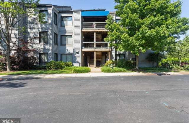 3 SPA CREEK Landing Gallery 2