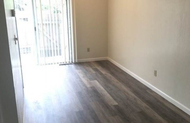 1315 Gold Way Gallery 3