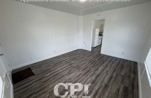 MOVE IN SPECIAL- $99 FIRST MONTH RENT! Gallery 4