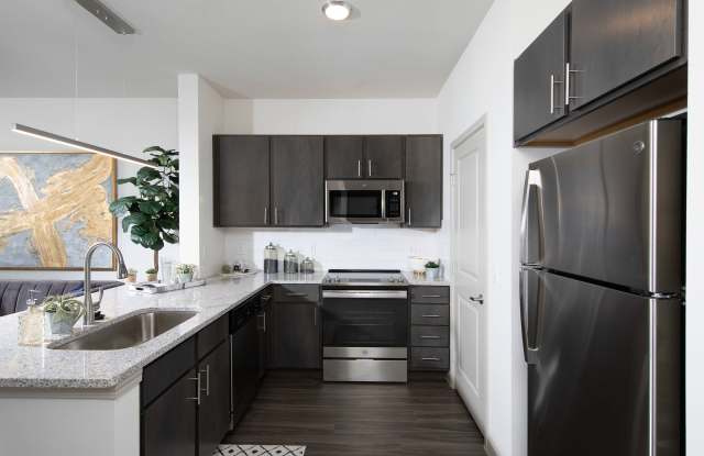 The Luxe at Cedar Hill - 55+ Active Adult Apartment Homes Gallery 3