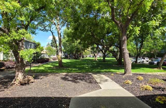 Cute 3BD/1.5BA Townhome with Great Commute location in Danville photos photos