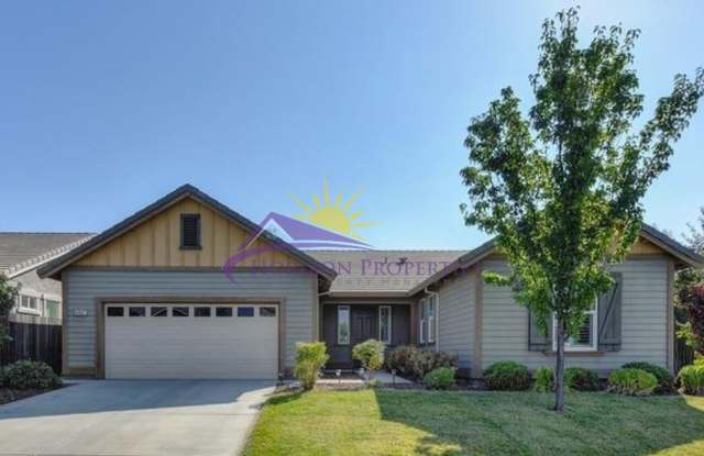 Beautiful 3 Bed 2.5 Bath 1,983sqft single family home with New LVP Flooring & 3-Car Garage in Anatolia photos photos