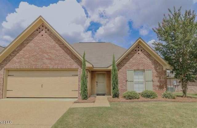 504 Pinebark Cove photos photos