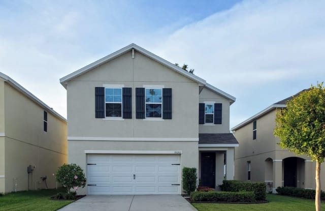 10202 Hawk Storm Avenue - 10202 Hawk Storm Avenue, East Lake-Orient Park, FL 33610