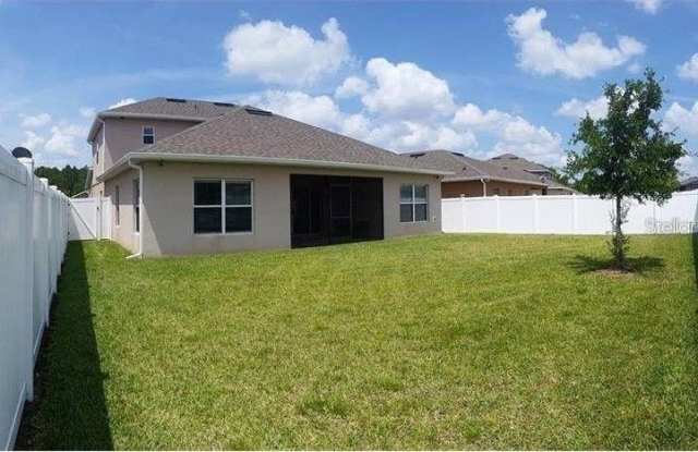 10525 CABBAGE TREE LOOP photos photos