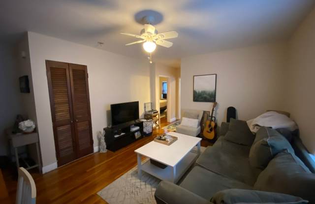 Huge and Sunny Apt near Cleveland Circle and T's! Heat and Hot Water Included! Cat Friendly! Gallery 4