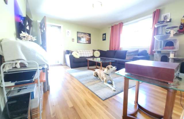 Beautiful 1 Bedroom apartment - Ashmont 9/1 photos photos