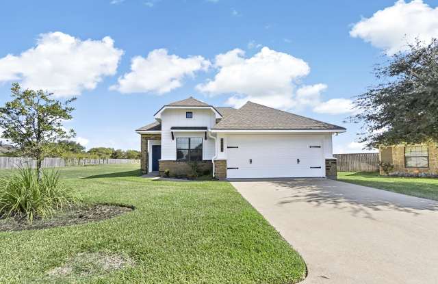 3804 Wild Horse Creek Court - 3804 Wild Horse Creek Court, College Station, TX 77845