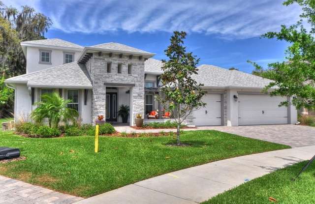 15429 STARLING CROSSING DRIVE - 15429 Starling Crossing Drive, Fish Hawk, FL 33547