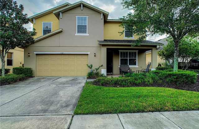 9025 SIENNA MOSS LANE - 9025 Sienna Moss Lane, Palm River-Clair Mel, FL 33578
