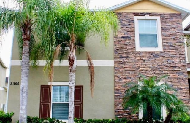 31156 GOSSAMER WAY - 31156 Gossamer Way, Wesley Chapel, FL 33543