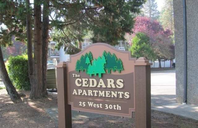 Cedars Gallery 3
