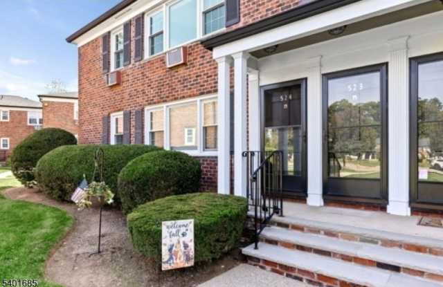 523 Pitney Pl - 523 Pitney Place, Morris County, NJ 07960