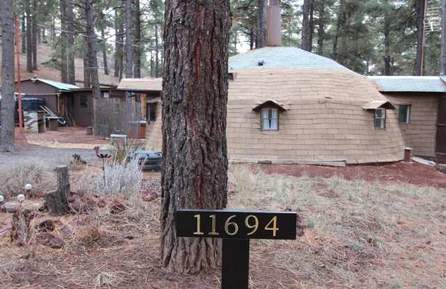 Unique Dome-Shaped Studio Surrounded by Ponderosa Pines With MOVE-IN Special! $300 off 1st month photos photos Unique Dome-Shaped Studio Surrounded by Ponderosa Pines With MOVE-IN Special! $300 off 1st month photos photos