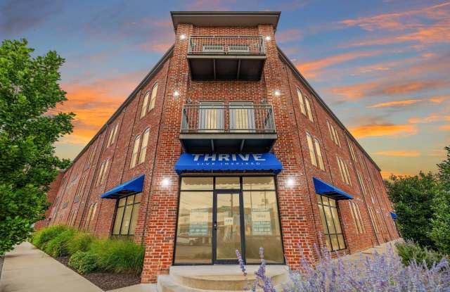 Thrive Argenta Gallery 2