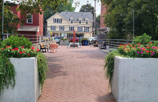 291 Main Street Gallery 1