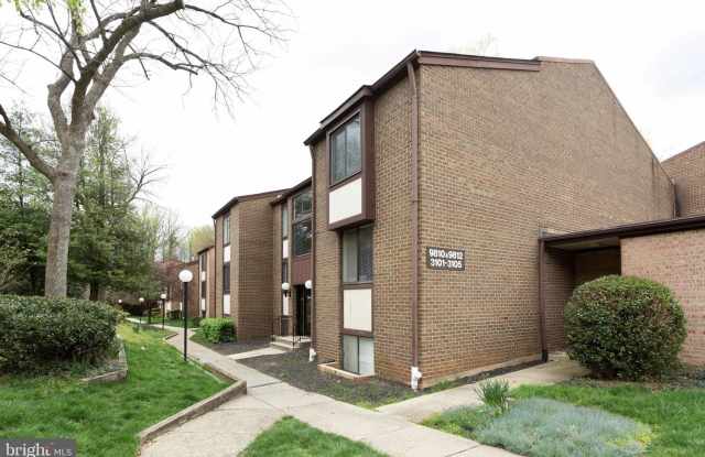9810 KINGSBRIDGE DRIVE Gallery 2
