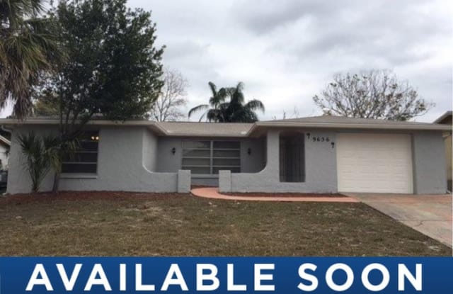 9636 Mark Twain Lane - 9636 Mark Twain Ln, Jasmine Estates, FL 34668