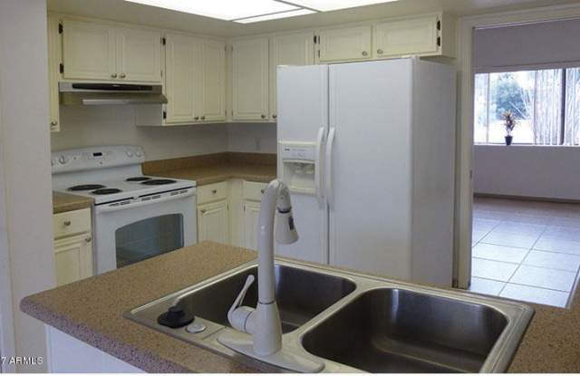 8626 E IRISH HUNTER Trail Gallery 4