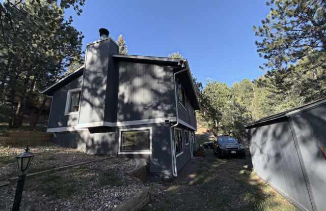Mountain Retreat in the Heart of Evergreen Gallery 4