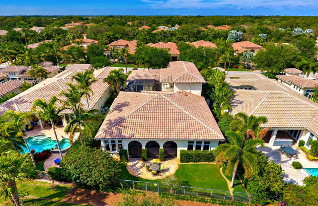 11308 Caladium Lane Gallery 4