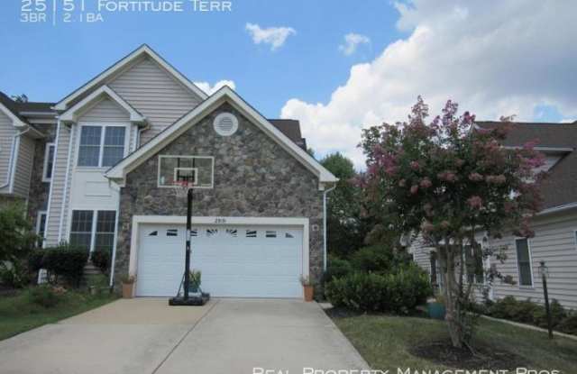 25151 Fortitude Terr - 25151 Fortitude Terrace, South Riding, VA 20152