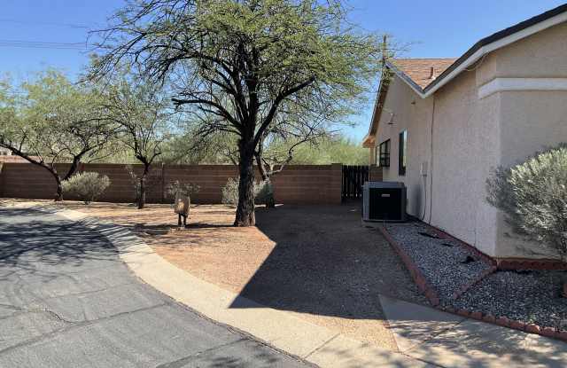 8526 N Spring Creek Dr Gallery 3