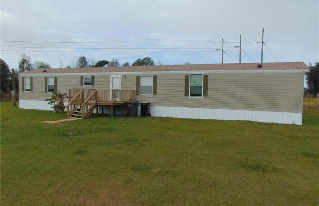 7232 DOVE MEADOW TRAIL - 7232 Dove Meadow Trail, Kathleen, FL 33810
