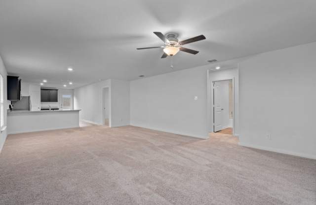 3979 Turtle Crk, New Braunfels, Texas 78132 Gallery 4