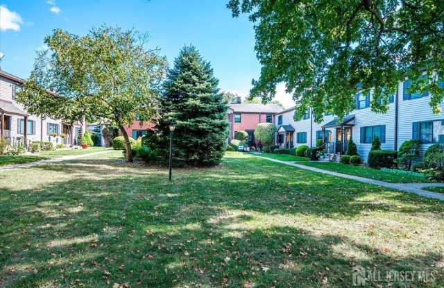 224 Newman Street photos photos