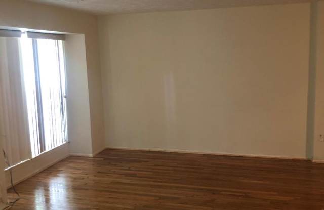 13417 WHITE CHURCH CIRCLE Gallery 3