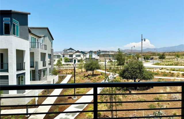 283 Lynx photos photos