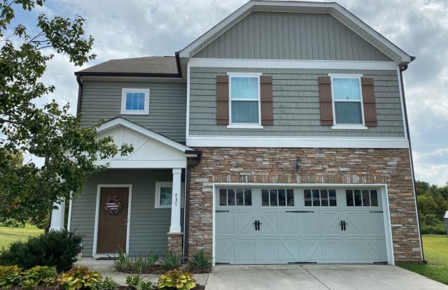 731 Nellie Gray Place - 731 Nellie Gray Place, Guilford County, NC 27377