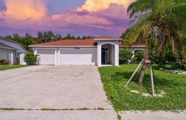 11313 ANDY DRIVE - 11313 Andy Drive, Riverview, FL 33569