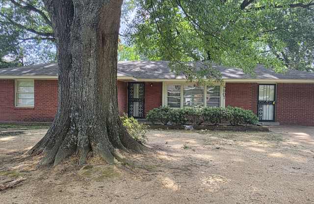 4907 Childs Dr Gallery 1