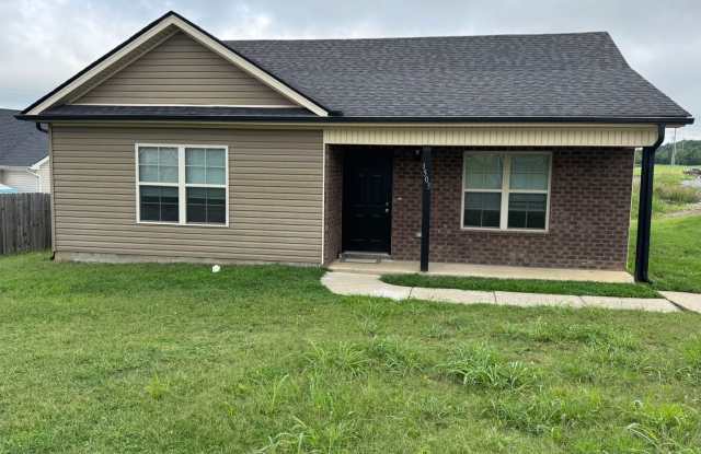 3 bed 2 bath home in great neighborhood in Smyrna close to dining, entertainment and I-24 and I-840 photos photos