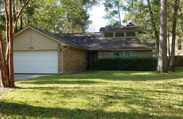 10 Morning Forest Court - 10 Morning Forest Court, The Woodlands, TX 77381