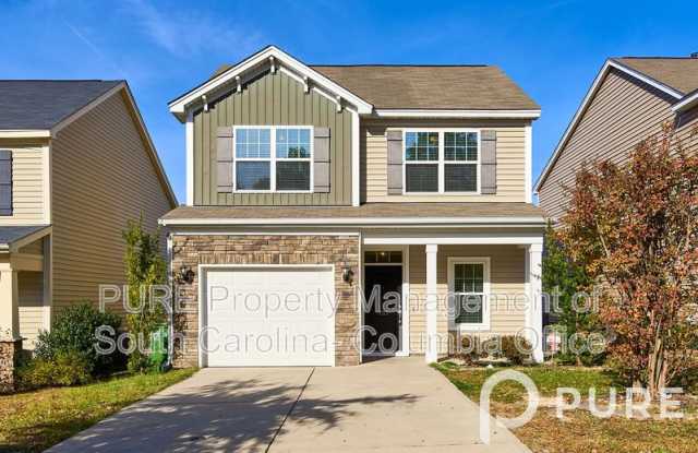 733 Pebblebranch Lane - 733 Pebblebranch Lane, Richland County, SC 29016