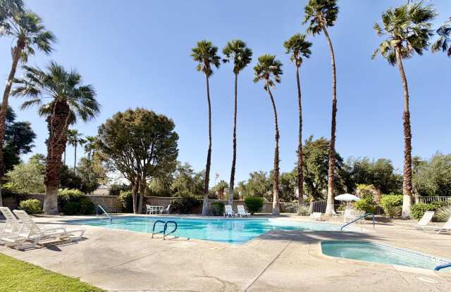 AVAILABLE NOW!! GORGEOUS 1 Bedroom 1 Bathroom - First Floor Condo in Palm Springs!! photos photos