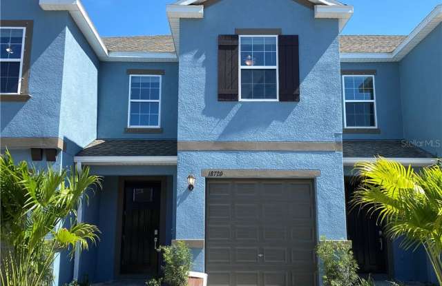 18720 NOBLE CASPIAN DRIVE - 18720 Noble Caspian Dr, Cheval, FL 33558