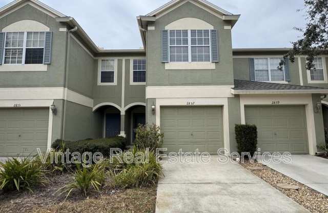 2857 Conch Hollow photos photos