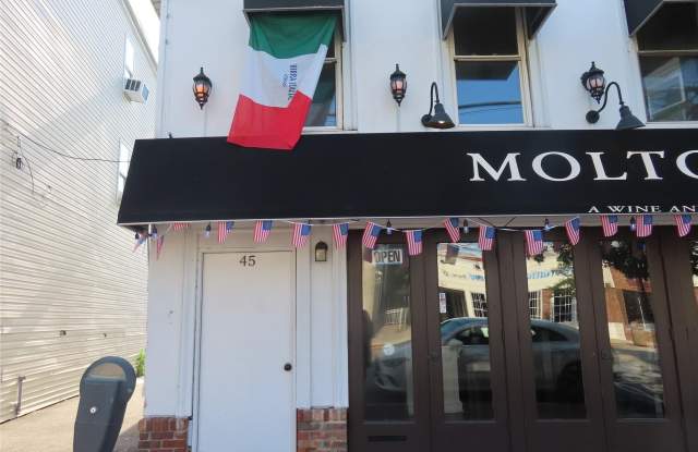 45 Deer Park Avenue unit: 2Nd Fl photos photos