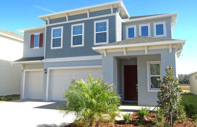 Brand new home in Zephyrhills photos photos