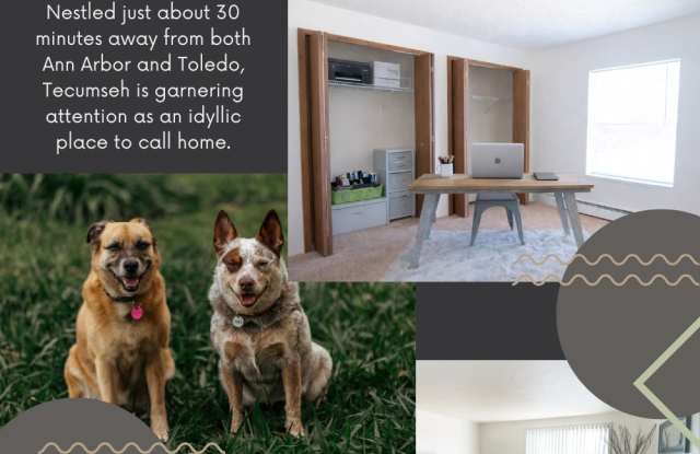 1074 E Chicago Blvd photos photos