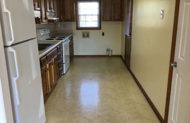 442 Willowspring Lane - 442 Willow Spring Lane, Rock Hill, SC 29730