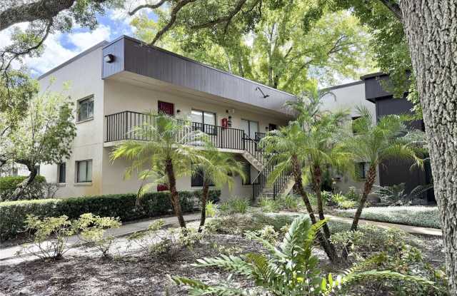 11723 RAINTREE VILLAGE BLVD, #D, TEMPLE TERRACE, FL 33617 Gallery 1