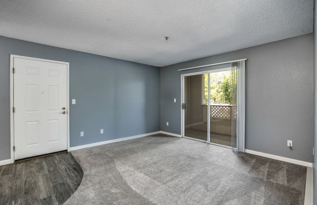 Alderwood Park Gallery 4